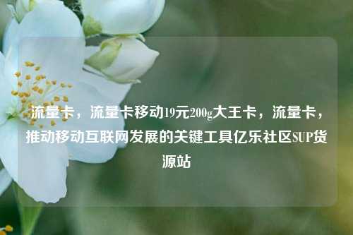 流量卡，流量卡移动19元200g大王卡	，流量卡，推动移动互联网发展的关键工具亿乐社区SUP货源站  第1张