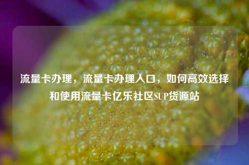 流量卡办理，流量卡办理入口	，如何高效选择和使用流量卡亿乐社区SUP货源站  第1张