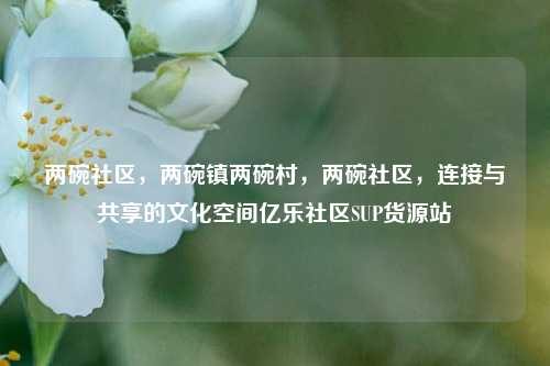 两碗社区，两碗镇两碗村，两碗社区	，连接与共享的文化空间亿乐社区SUP货源站  第1张