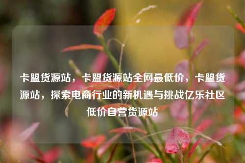 卡盟货源站，卡盟货源站全网最低价	，卡盟货源站，探索电商行业的新机遇与挑战亿乐社区低价自营货源站  第1张